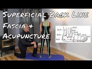 Superficial Back Line - Fascia and Acupuncture