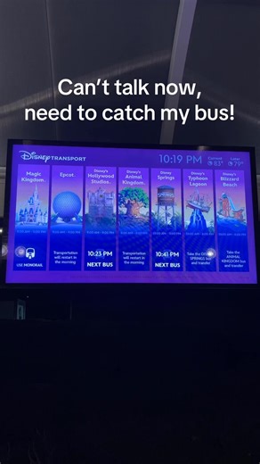 Go your own way when at Walt Disney World 🏰 | Doctor Disney