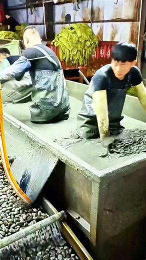 Watch Genius SEAFOOD HACK Separate Fresh Clams Using Thick Mud 🤯