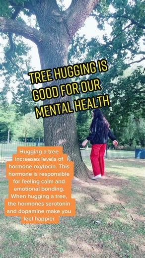 The Incredible Benefits of Tree Hugging