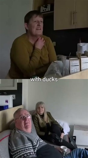 The Day Birds Went Wild Over Fast Food