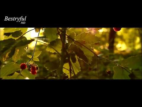 Surah Bani Israil | Beautiful Recitation | Abdul Aziz Zahrani