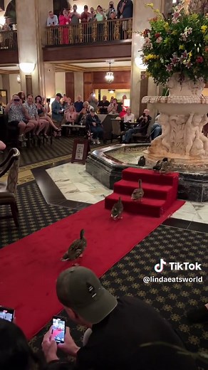 Experiencing the Peabody Hotel Duck March in Memphis