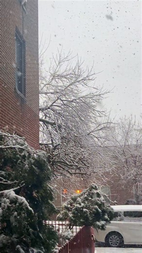 Enjoying snowfall in New York #reels #nyclife #nyc #snowfall2025 | Tashnuva Anan