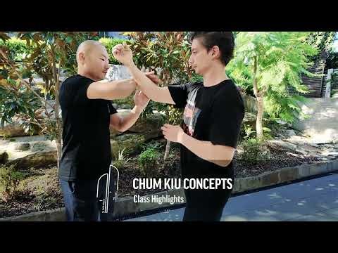Wing Chun - Chum Kiu Concepts - class highlights