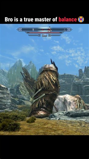 Bro is a true master of balance😭 #skyrim