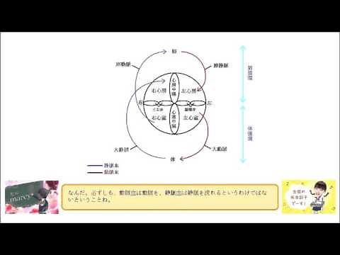 肺静脈血の酸素飽和度は、 肺動脈血よりも低い。 （○or×）