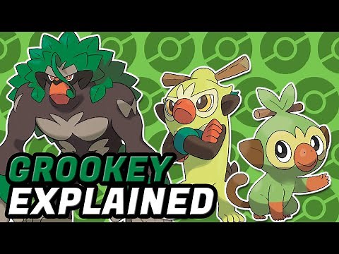 GROOKEY, POKEMON EXPLAINED! Grass Pokemon, Starter Pokemon, Pokemon Grookey