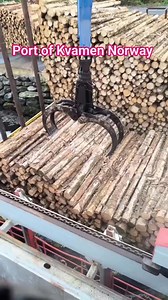 16K views · 199 reactions | 2nd Port Loading Timber Port of Kvamen Norway Self Loading #cargotimber #GeneralCargoVessel #sailingeurope #kvamennorway | Wilfred Bellano Vlog | Facebook
