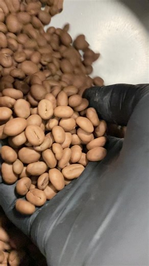 Delicious Chocolate-Covered Coffee Beans Recipe