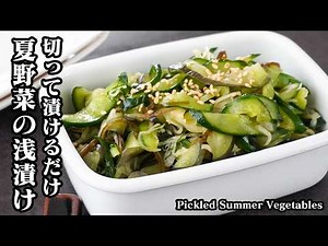 [Japanese Recipe] Lightly Pickled Eggplant and Cucumber | Quick and Easy