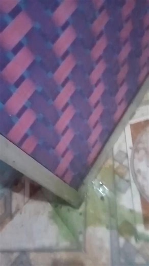 Cockroach comedy | comedy Arun