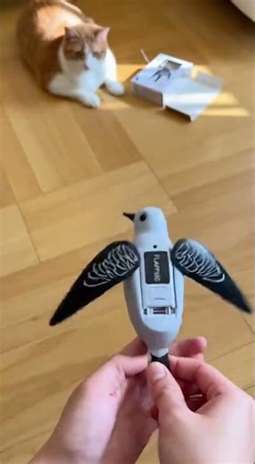 Cat vs. Flapping Bird: Epic Toy Showdown!