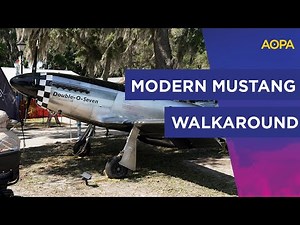 Scalewings SW-51 Carbon Fiber Mustang