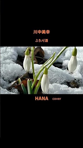 #ふたり酒#川中美幸#走れ歌謡曲#石川さゆり#美空ひばり#坂本冬美#香西かおり#岩佐美咲#石原詢子#春日はるみ#演歌#昭和の名曲#懐メロ#cover
