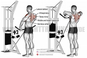 Cable wide-grip upright row instructions and video | Weight Training Guide