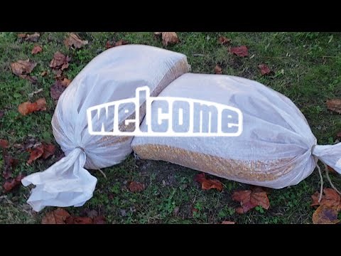 best way to buy Deer corn and feed corn to Deer!! #deerhunting