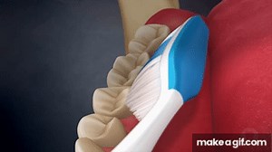 Tooth Brushing- Modified Bass Technique on Make a GIF