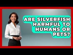 Are Silverfish Harmful To Humans Or Pets? - Insects and Invaders