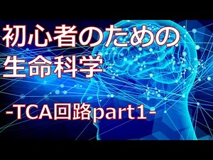 生化学-TCA回路part1-