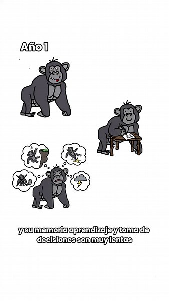 RESPALDO CIENTÍFICO 1.\tWalker, M. (2023). Sleep and brain health: The glymphatic system and neurodegeneration. Nature Reviews Neuroscience. \t2.\tMedic, G., Wille, M., & Hemels, M. (2021). Short- and long-term health consequences of sleep disruption. Nature and Science of Sleep. \t3.\tIrwin, M. (2022). Sleep and inflammation: Partners in sickness and health. Nature Reviews Immunology. \t4.\tWatson, N. et al. (2021). Recommended sleep duration for adults. American Academy of Sleep Medicine. \t5.