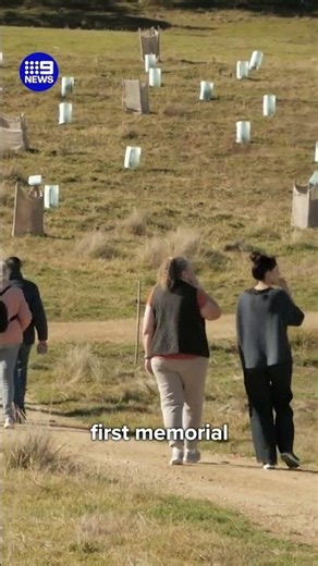 Eco-conscious burial plot launches in Sydney | 9 News Australia