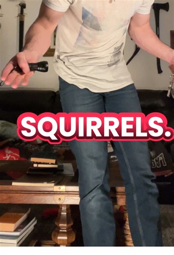 May all your arrows be found! Nice cheap UV flashlight trick for hunting them down. Happy archin 🫡 🏹🎯#squirrels #woods #archer #archery #buffarcher