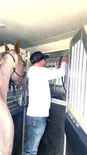 Clinton's Horse Trailers Features and Preferences
