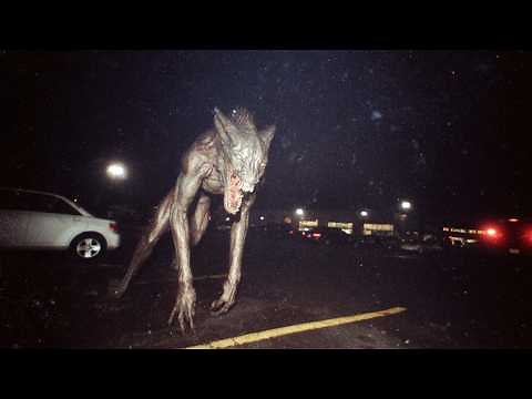 Terrifying Chupacabra Close Encounters Caught On Video