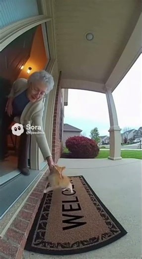 Kitten Acts Cute at the Door… Then EXPLODES Inside 😭🔥🐱 #funny #funnyshorts #aivideo