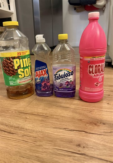 Ultimate Cleaning Tips with Monica's Twist Mop