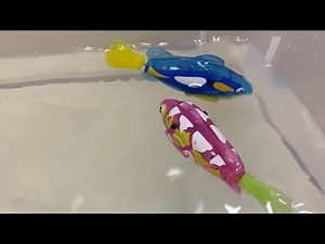 Zuru Alive Robo Fish Tropical Series 2 Demonstration - Pink & Blue Fish