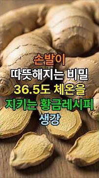 생강의 5가지 효능과 먹는법 주의사항 #생강 #생강효능 #생강차 #생강먹는법 #생강부작용 #혈액순환 #면역력강화 #수족냉증 #항염 #항산화 #심혈관질환예방 #소화건강 #입덧완화