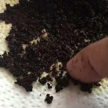 Coffee ground = hematemesis