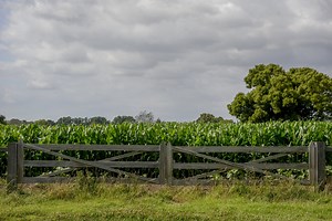 Terara - Shoalhaven - South Coast NSW