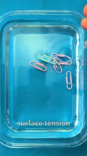 📎 Floating Paper Clip! 💧 Fun Science Experiment! 😲
