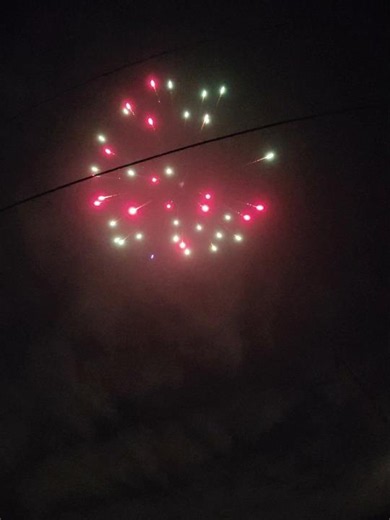 #5 Single Shot Alien Fireworks #fireworks #pyrolife #viral #4thofjuly2026 #review