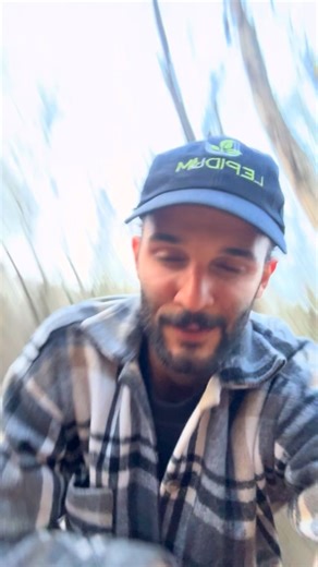 aryatrees | ‎جوش یا پیوند طبیعی #inosculation #درخت_ممرز . #hyrcanianforest #aryatrees‎ | Instagram