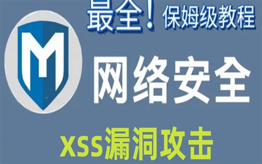 【零基础学网安】B站2023保姆级的网络安全XXS漏洞攻击顶级教程，全套教程分享，全程干货无废话！
