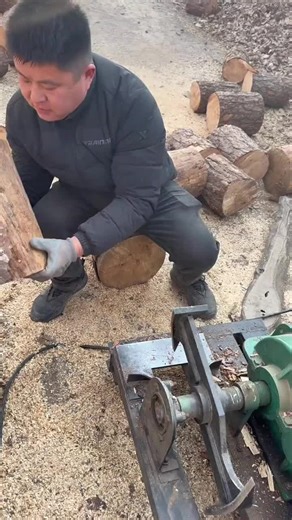 Exploring Balli Bot Mogis: The Innovative AI Trend