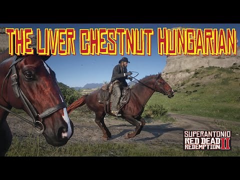 How to Use Save Wizard to Get The Liver Chestnut Hungarian Halfbred, in Red Dead Redemption 2