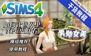 【模组推荐】如何让世界里的NPC更好看，男帅女美必备模组