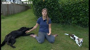 254K views · 946 reactions | After a 3 year old dies from dog bite...