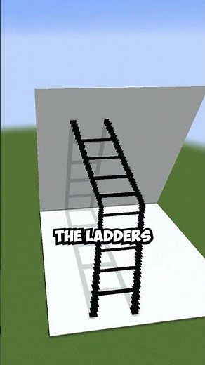 Ladder Illusion #minecraft