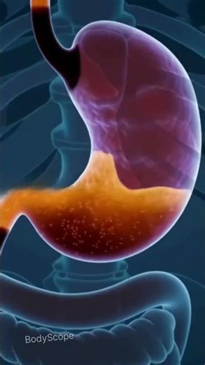 What Coca-Cola Really Does Inside Your Body | BodyScape