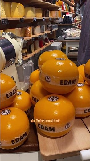 🧀 Cheese paradise in Edam (you can try EVERYTHING for free 🤯)