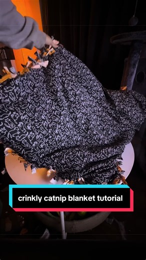 DIY Crinkly Catnip Blanket Tutorial for Your Cat