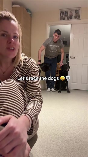 Funny Dog Racing Challenges That Will Make You Laugh