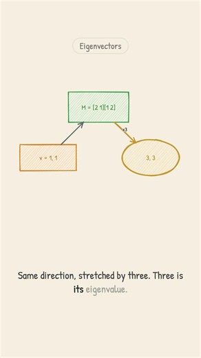 Eigenvectors: The Directions a Matrix Cannot Rotate