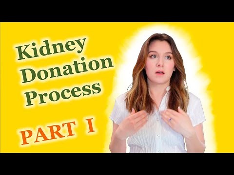 Kidney Donation Process - Part I